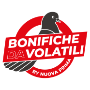 bonifichedavolatili.it